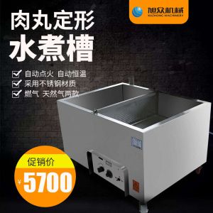 xz-s100自（zì）動燃（rán）氣水槽