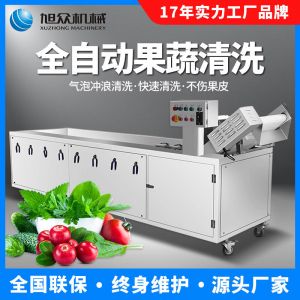 全自動果蔬氣泡清（qīng）洗機