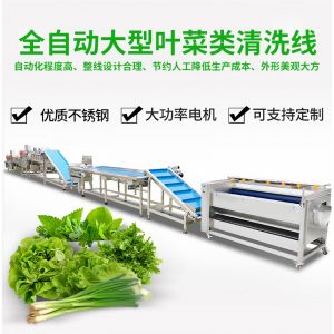 全自動大型葉菜清洗線（xiàn）